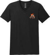 Princeton Tiger Lilies Softstyle V-Neck T-Shirt
