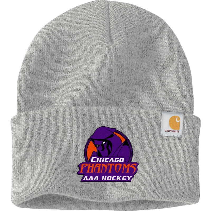 Chicago Phantoms Carhartt Watch Cap 2.0