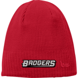 Allegheny Badgers New Era Knit Beanie