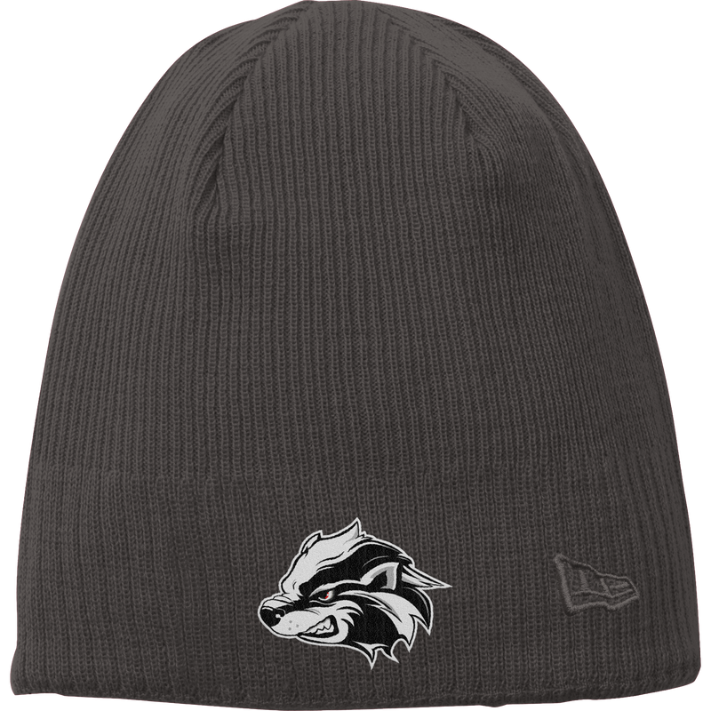 Allegheny Badgers New Era Knit Beanie